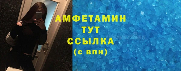 прущие грибы Балабаново