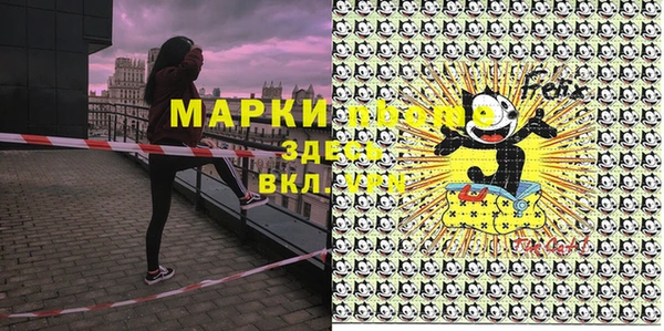 прущие грибы Балабаново