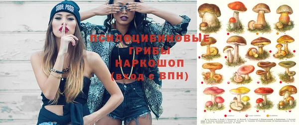 МДПВ Баксан