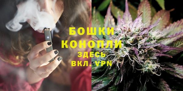 прущие грибы Балабаново