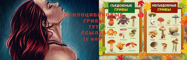 МДПВ Баксан