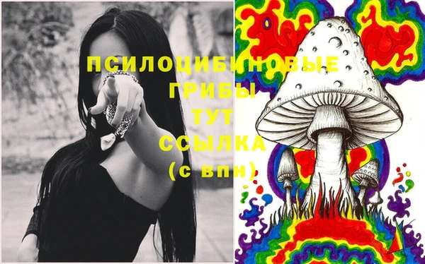 прущие грибы Балабаново