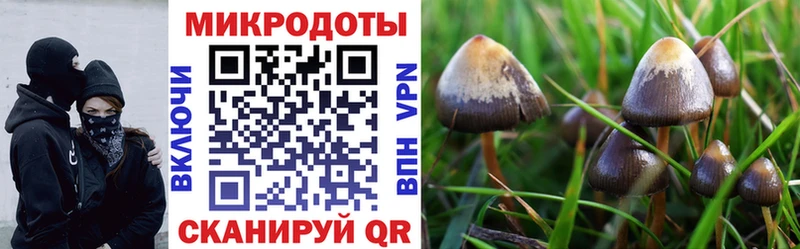 Галлюциногенные грибы мицелий  Петухово 